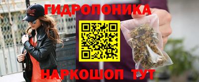 твердый Славгород