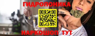 твердый Славгород