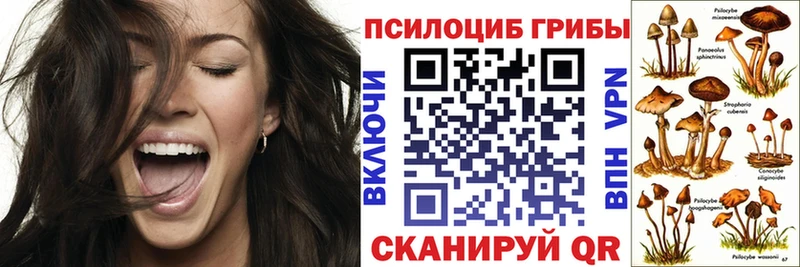 Псилоцибиновые грибы мицелий  Славянск-на-Кубани 