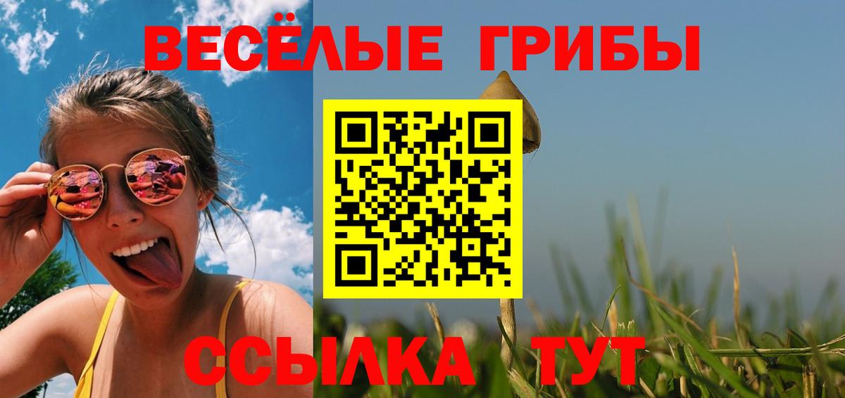 Псилоцибиновые грибы GOLDEN TEACHER  закладки  Славянск-на-Кубани  Вход с VPN  Псилоцибиновые грибы GOLDEN TEACHER 