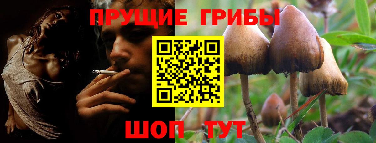Галлюциногенные грибы мицелий Славянск-на-Кубани